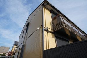 ボナールコスゲＢ 202号-14