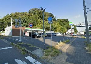 プリムローズ 202号-13