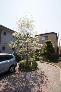 スカイメゾンB 202号-11