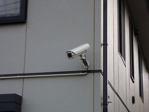 ウィンベルⅡ 103号-3