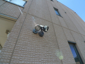 フラットフィールド 302号-12