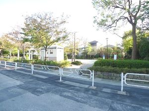 Rosetto 202号-4