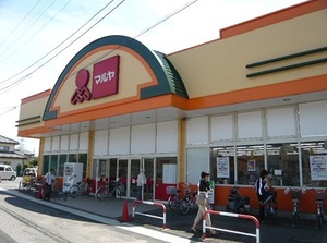 グリーンヒルＫⅠ 102号-15