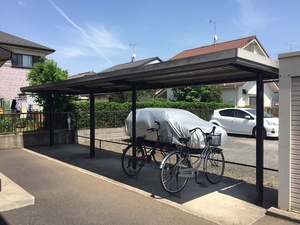 クレマチス 107号-12