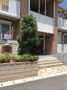 スプリングハウスB 202号-12