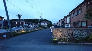 Rose CielⅠ 202号-12