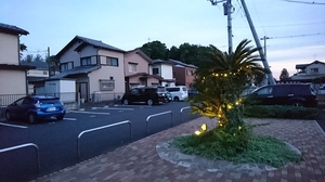 Rose CielⅠ 202号-13