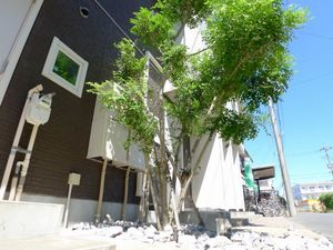 ジ・アンリ・テラス 202号-13