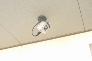 フォレナ Ⅱ番館 101号-15