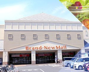 ジェンティーレ D 201号-12