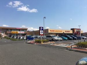 プリムローズ 201号-4