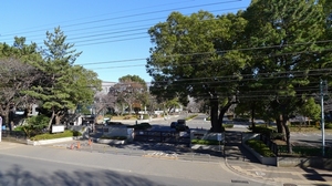 スカイコート 101号-15