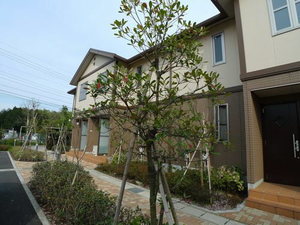 アルカンシエル　Ｅ館 102号-13