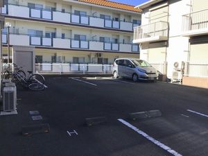 エバーグリーンＡ 203号-13