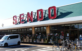 オーブ Ⅱ 101号-7