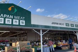 メルヴェイユ 208号-15