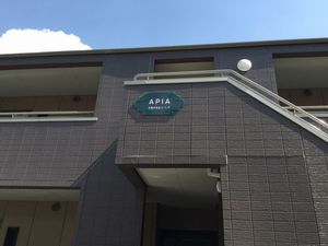 ＡＰＩＡ 101号-12