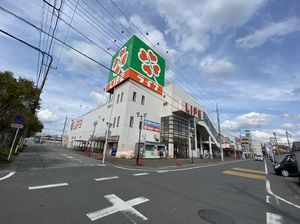 サンフローラＤ 101号-14