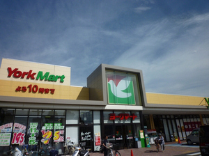 リブウェル六高Ｄ 102号-12