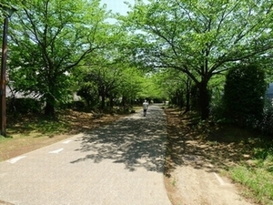 グリ-ンサニ-ホ-ムズD 202号-15