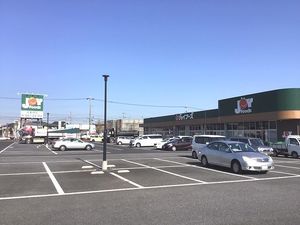 エステートガーデンＣ 201号-14