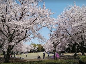 ウィンズ守谷Ａ 101号-5