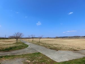 エクセルパレス佐貫Ｂ 201号-4