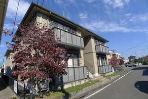 グリーン・パルモB 101号-12