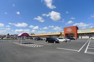 チェリーコート 205号-14