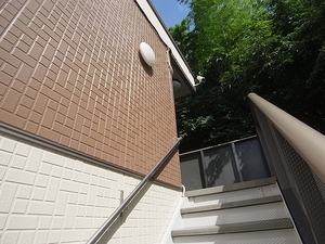 クリーンオオシカ 206号-13