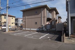 スターチス　Ａ 103号-12