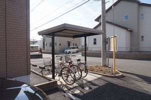 スターチス　Ａ 103号-13