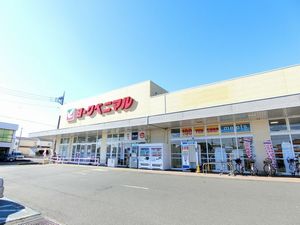 ピュアライフ 羽鳥 103号-13