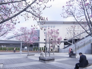 ル・シェル 103号-13