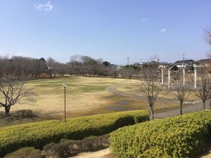 フェリーチェB 102号-15