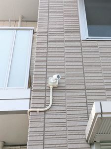 プリムローズ 302号-14