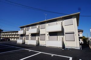 ベルーナⅡ 203号-12