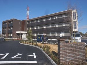 Ｔ＆Ｙ　Ｍａｎｓｉｏｎ