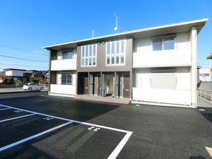 サエリーノ　Ｃ