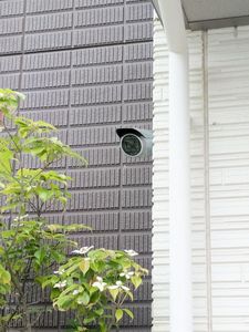 カデンツァ 102号-15