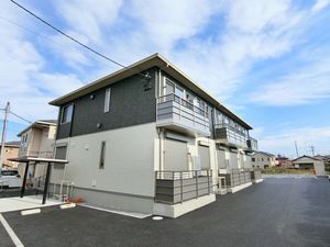 ガジュマル 101号-1