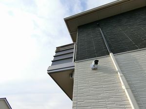 ガジュマル 101号-12