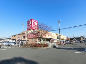 ガジュマル 101号-15