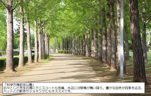 フェリス万博公園 202号-13