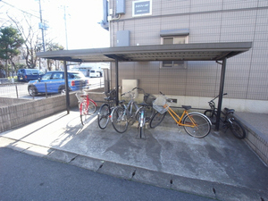 ライトフィールド 107号-13