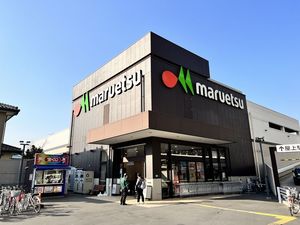 ヒルズ・ウィスタリア 102号-13