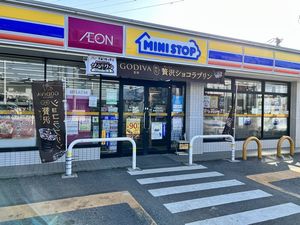 ヒルズ・ウィスタリア 102号-14