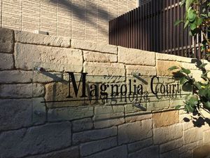 Ｍａｇｎｏｌｉａ　Ｃｏｕｒｔ 101号-13