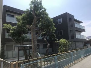 ブルー・アーパス 302号-12