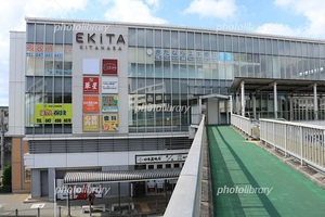 Ｔｕｒｔｌｕｃｋ 101号-14